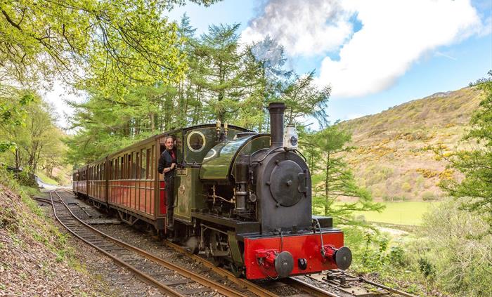 Loco No.4 'Edward Thomas' waits at Quarry Sidings to cross with another train.  Pic Barbara Fuller
